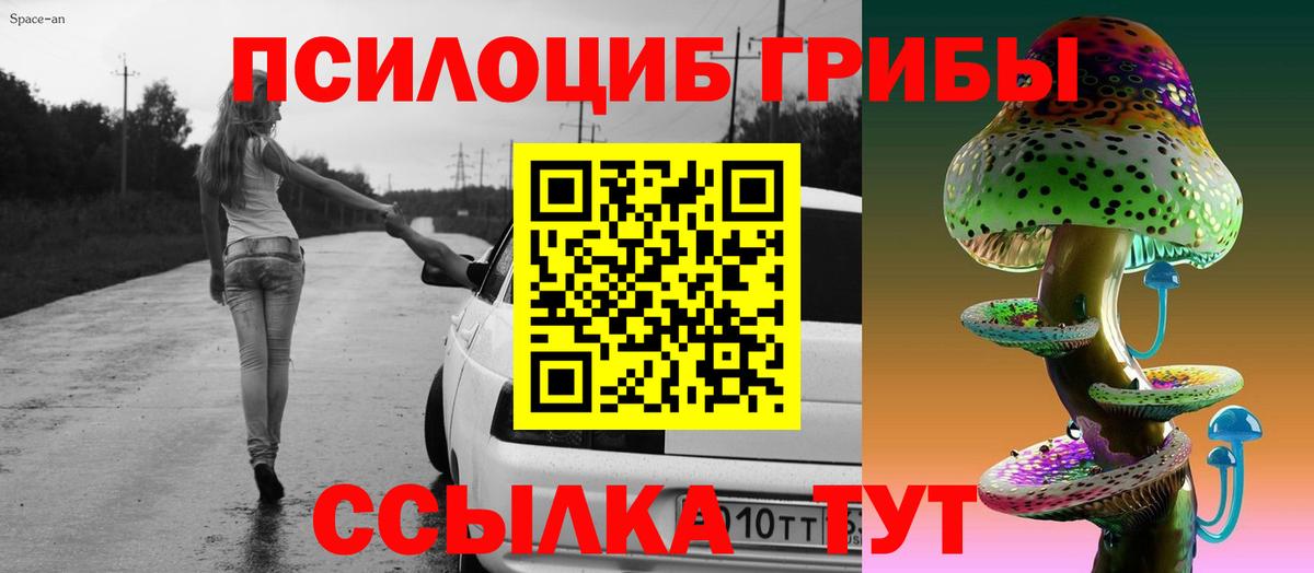 где купить   Псилоцибиновые грибы Cubensis  Вход с VPN  Заринск 