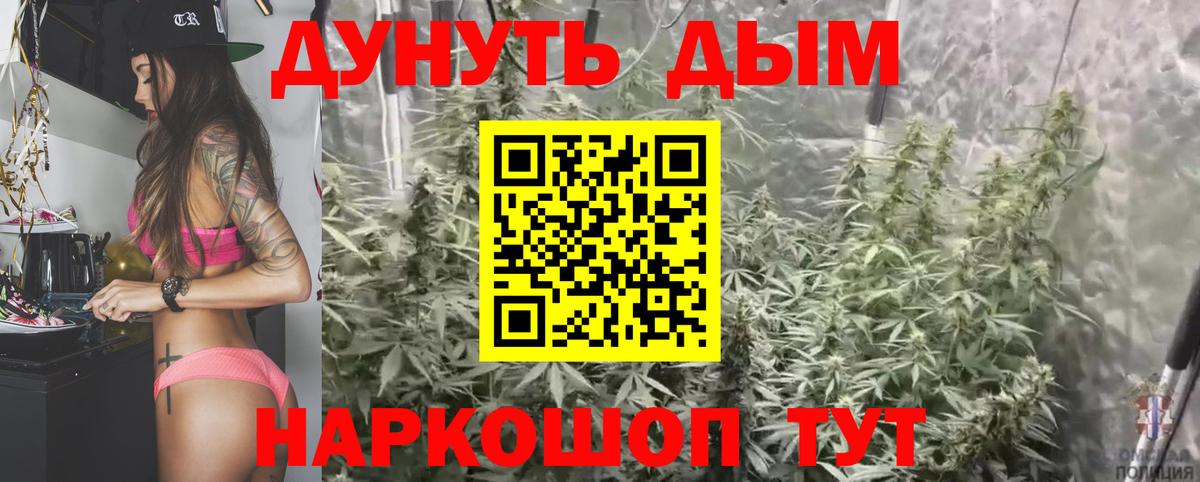 Бошки Шишки семена Заринск